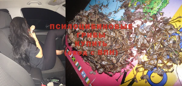 прущая мука Лиски