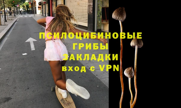 apvp Ладушкин