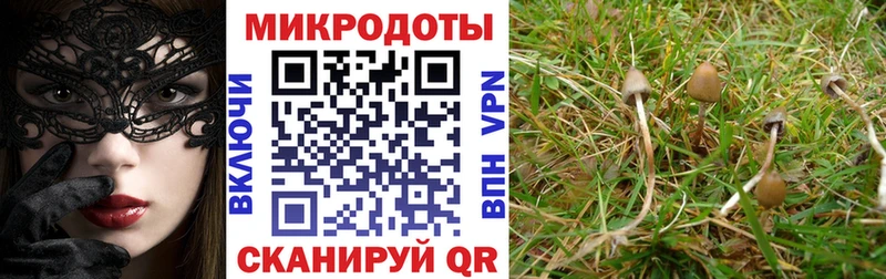 Купить закладки  Игра  Галлюциногенные грибы ЛСД 