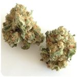 Шишки "White Widow"  (Белая вдова)  Гидропоника -  Бошка VHQ в Игре